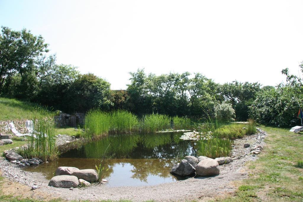Dorphus Villa Neuenkirchen auf Rugen Exteriör bild